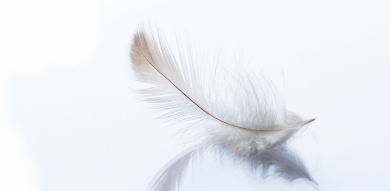 �G���W�F���E�����N